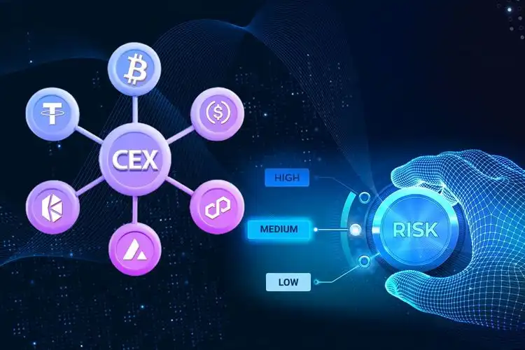The Great Liquidity Convergence: Navigating The Future Of Cross-Chain Interoperability In The Web3 Era 3 medium CEX Risks d5274c373c